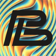 Pulsebit black logo ripple puzzle option