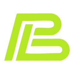 Pulsebit lime on white puzzle option